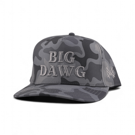 Big Dawg Funny Embroidered Snapback Hat in Retro Shadow – Ivy + Cloth