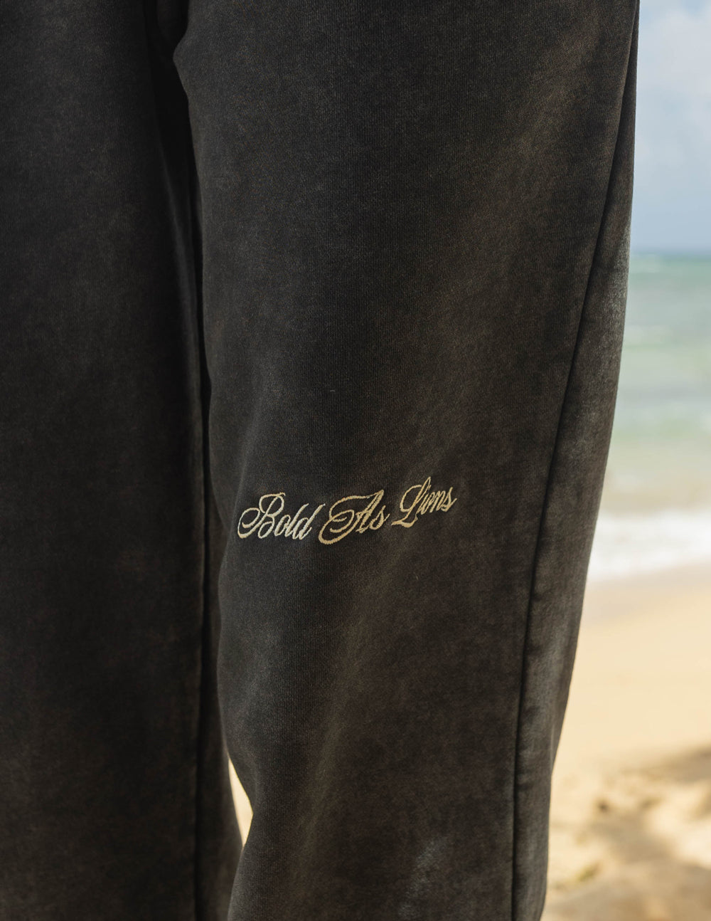 Elevated Faith Sweatpants with 'Bold As Lions' Embroidery, perfect for Christian Apparel enthusiasts