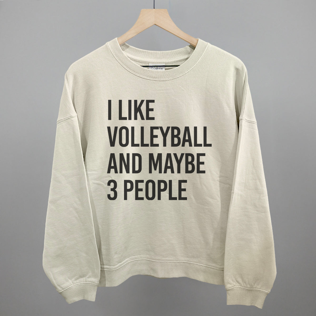 I Like Volleyball and Maybe 3 People graphic oversized boxy crew in Bone