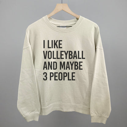 I Like Volleyball and Maybe 3 People graphic oversized boxy crew in Bone