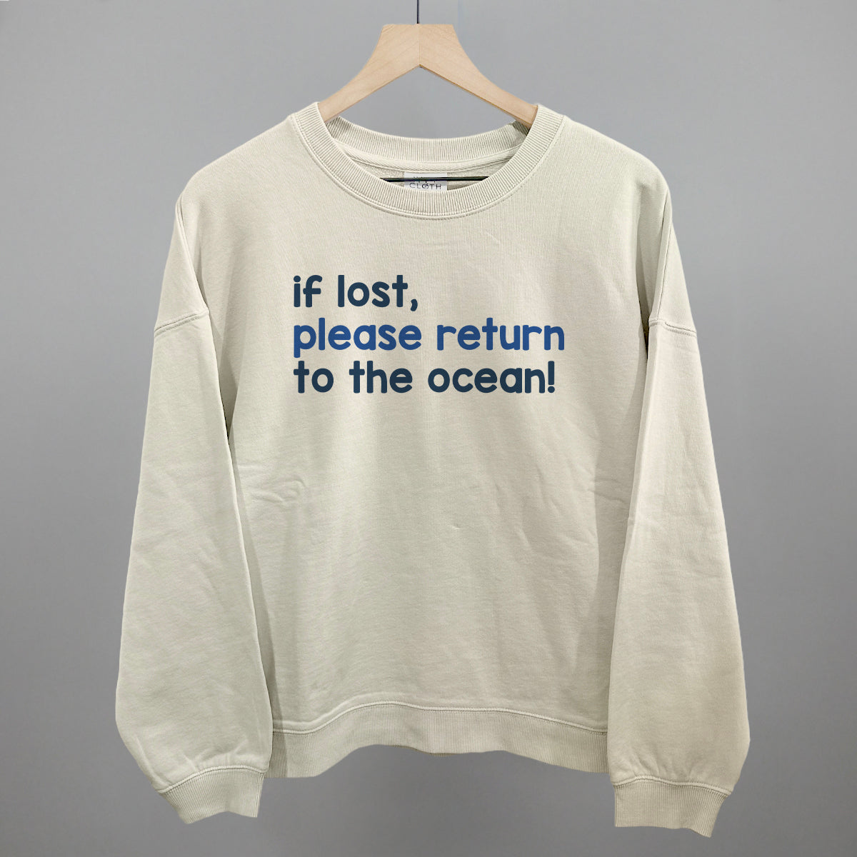 If Lost, Please Return To The Ocean Beach graphic oversized boxy crew in Bone