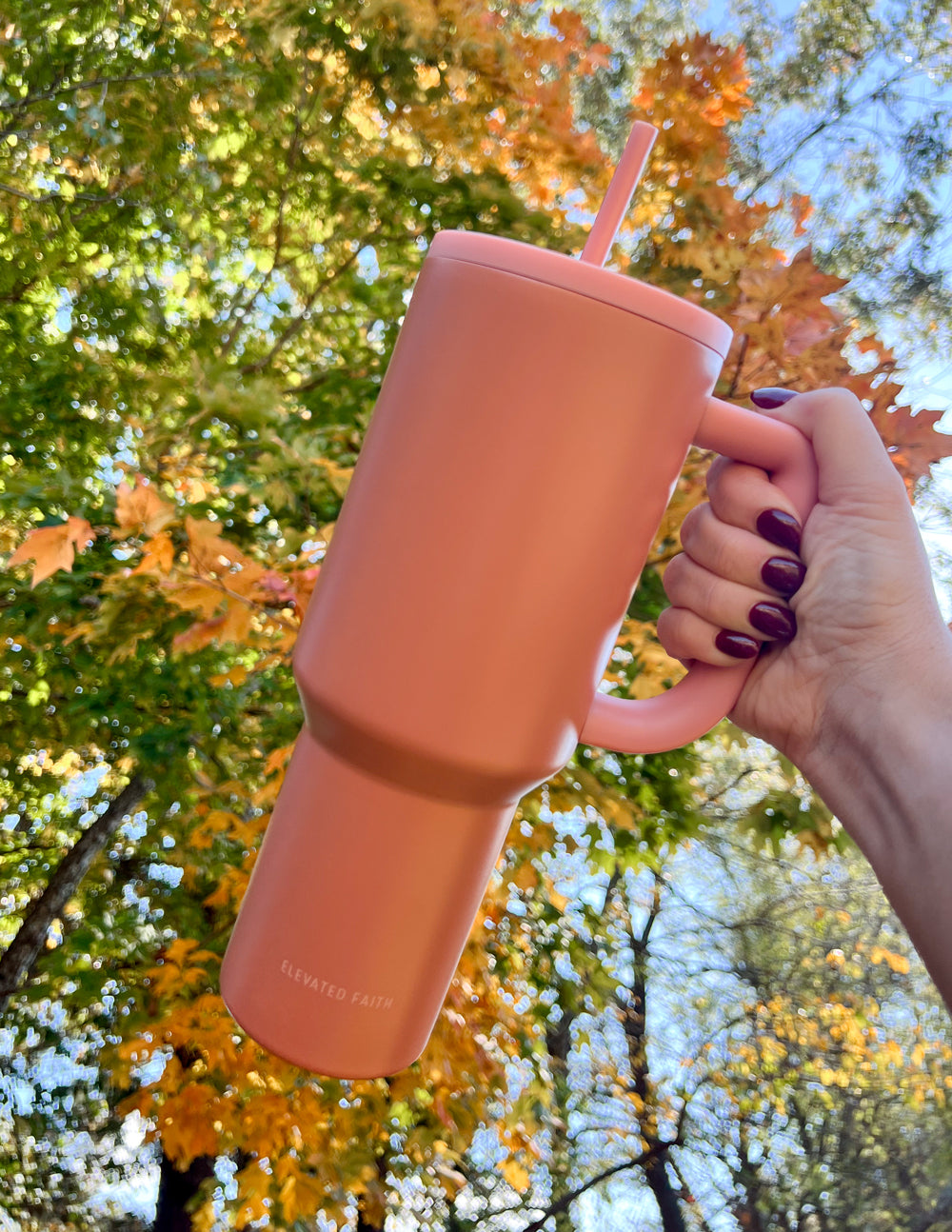 Elevated Faith Tumbler in Blush Pink, a perfect choice for Christian gifts lovers