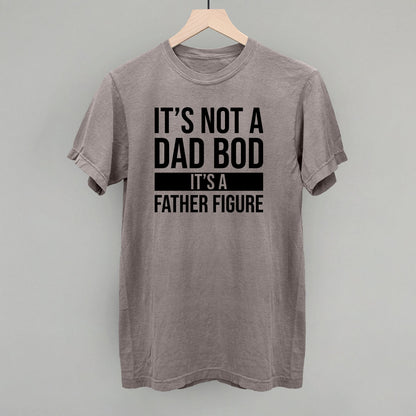 It's Not a Dad Bod Funny Comfort Colors T-Shirt in Grey – Ivy + Cloth