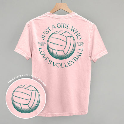 Just A Girl Who Loves Volleyball (Back Print) Funny Comfort Colors T-Shirt in Blossom – Ivy + Cloth