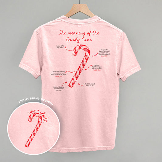 The Meaning Of The Candy Cane (Back Print) Funny Comfort Colors T-Shirt in Blossom – Ivy + Cloth