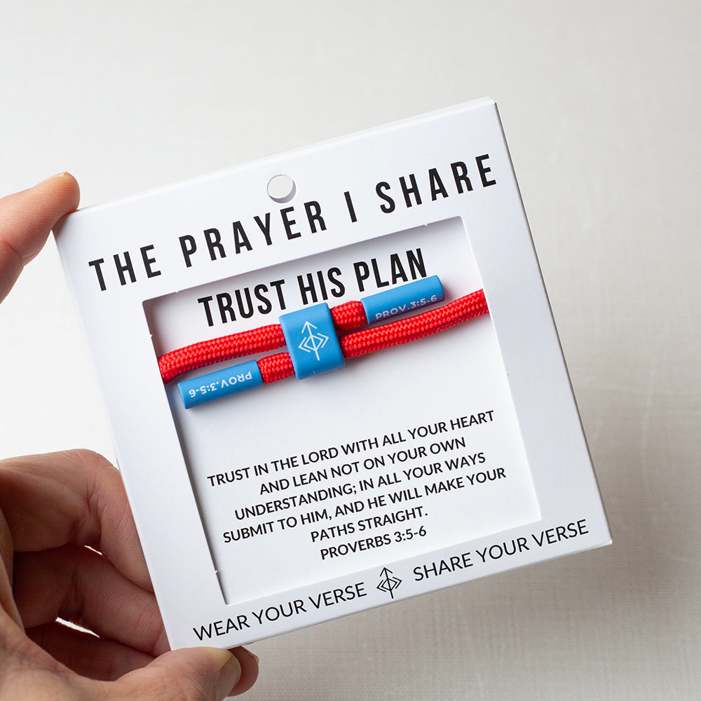 Trust His Plan, Proverbs 3:5-6