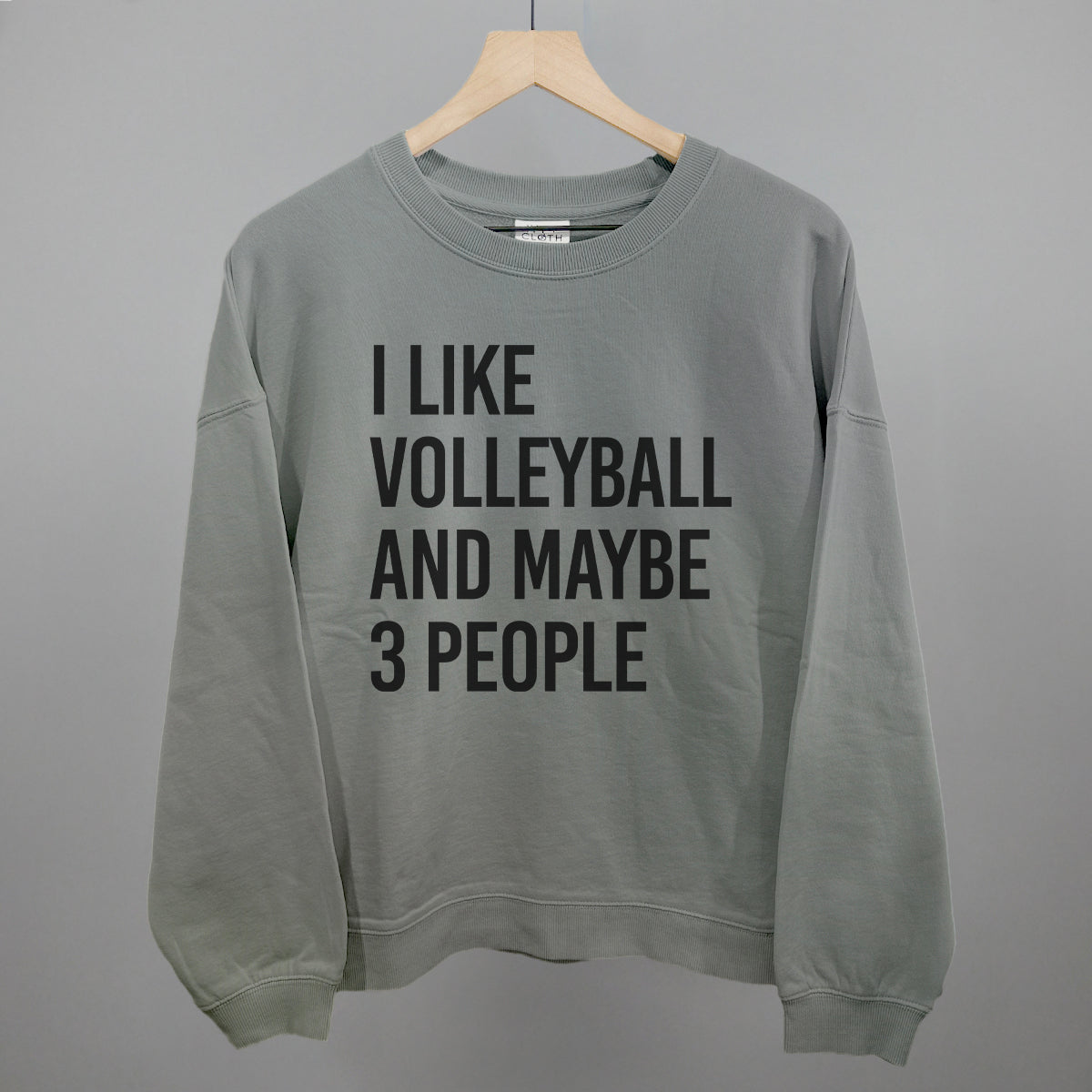 I Like Volleyball and Maybe 3 People graphic oversized boxy crew in Smoke
