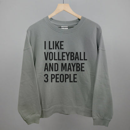 I Like Volleyball and Maybe 3 People graphic oversized boxy crew in Smoke
