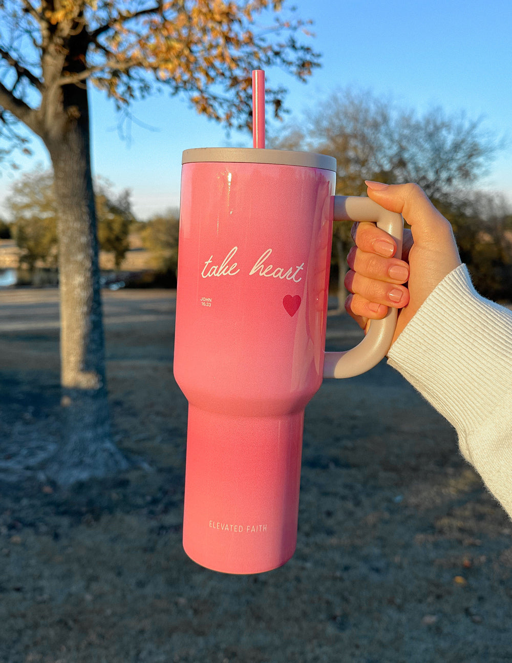 Elevated Faith Pink Tumbler with Take Heart Design for Christian Gifts and Daily Inspiration