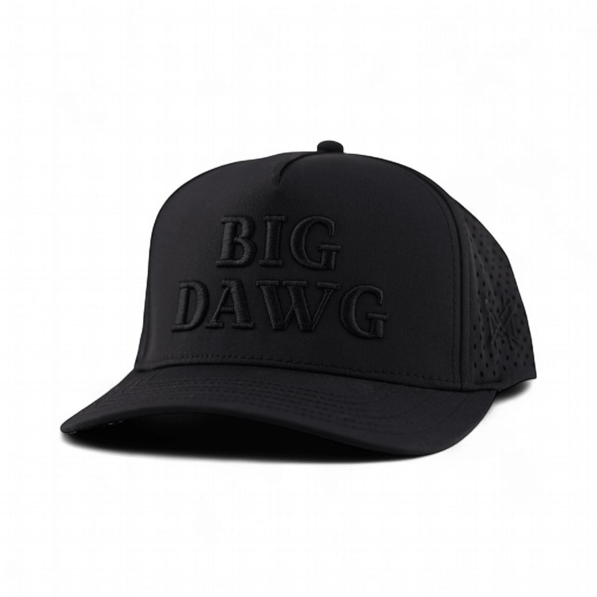 Big Dawg Funny Embroidered Snapback Hat in Retro Performance Black – Ivy + Cloth