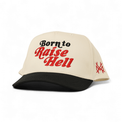 Born To Raise Hell Funny Embroidered Snapback Hat in Retro Youth Black/Natural – Ivy + Cloth