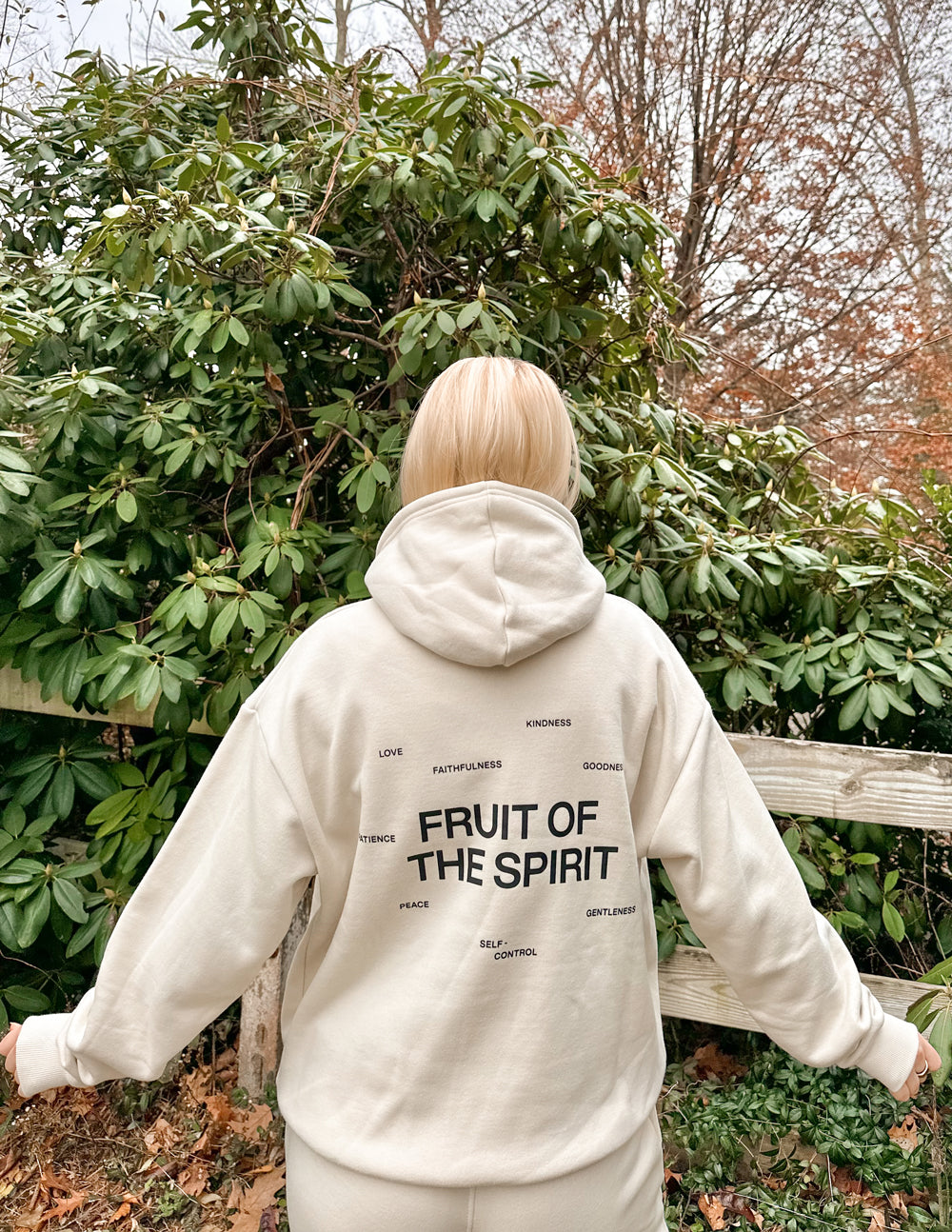 Elevated Faith Christian Hoodie featuring 'Fruit of the Spirit' graphic on the back in a soft beige color
