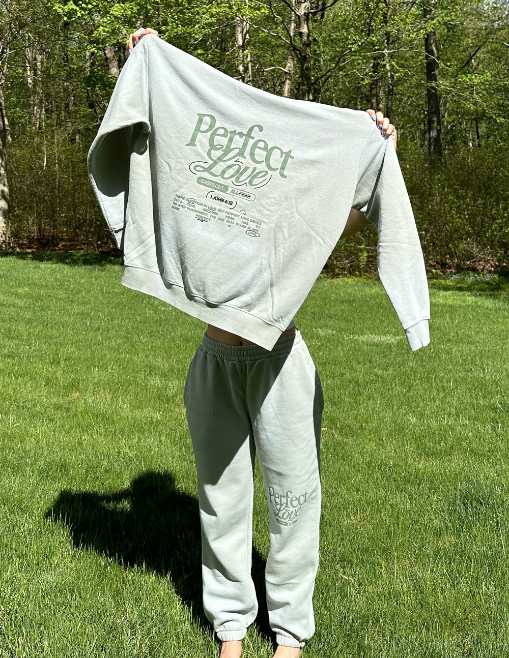 Elevated Faith Christian Hoodie in light gray with 'Perfect Love' graphic design for casual wear