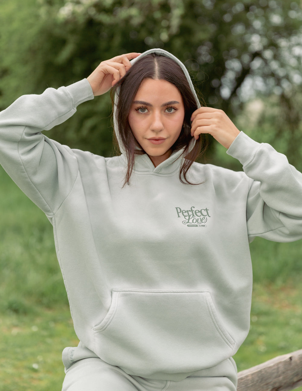 Elevated Faith Christian Hoodie in light green with 'Perfect Love' graphic for comfort and style