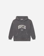 Elevated Faith Kids Hoodie in Gray featuring graphic design, perfect for Christian Kids Apparel