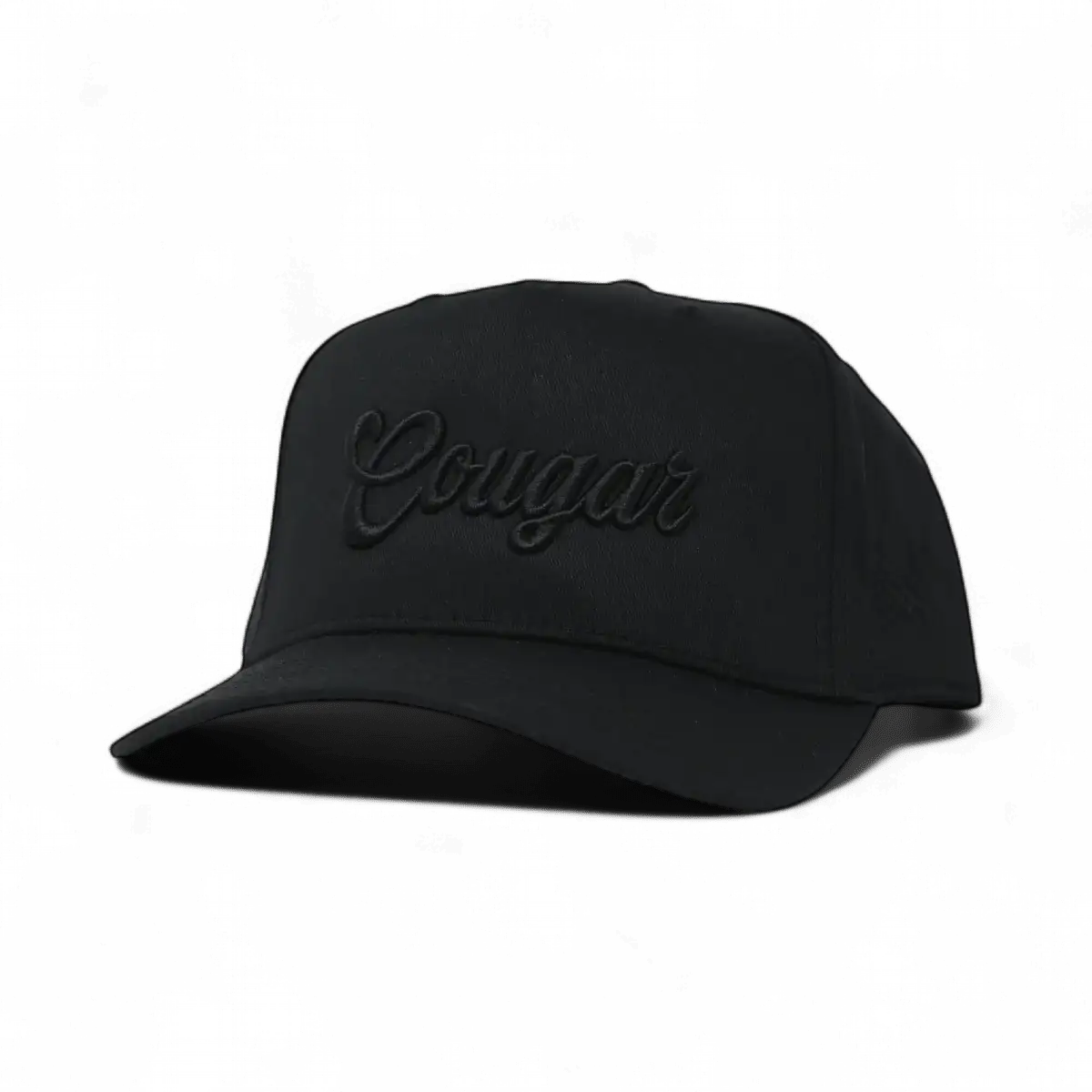 Cougar Funny Embroidered Snapback Hat in Retro Black – Ivy + Cloth