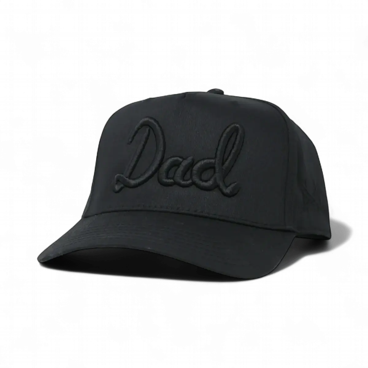 Dad Funny Embroidered Snapback Hat in Retro Black – Ivy + Cloth
