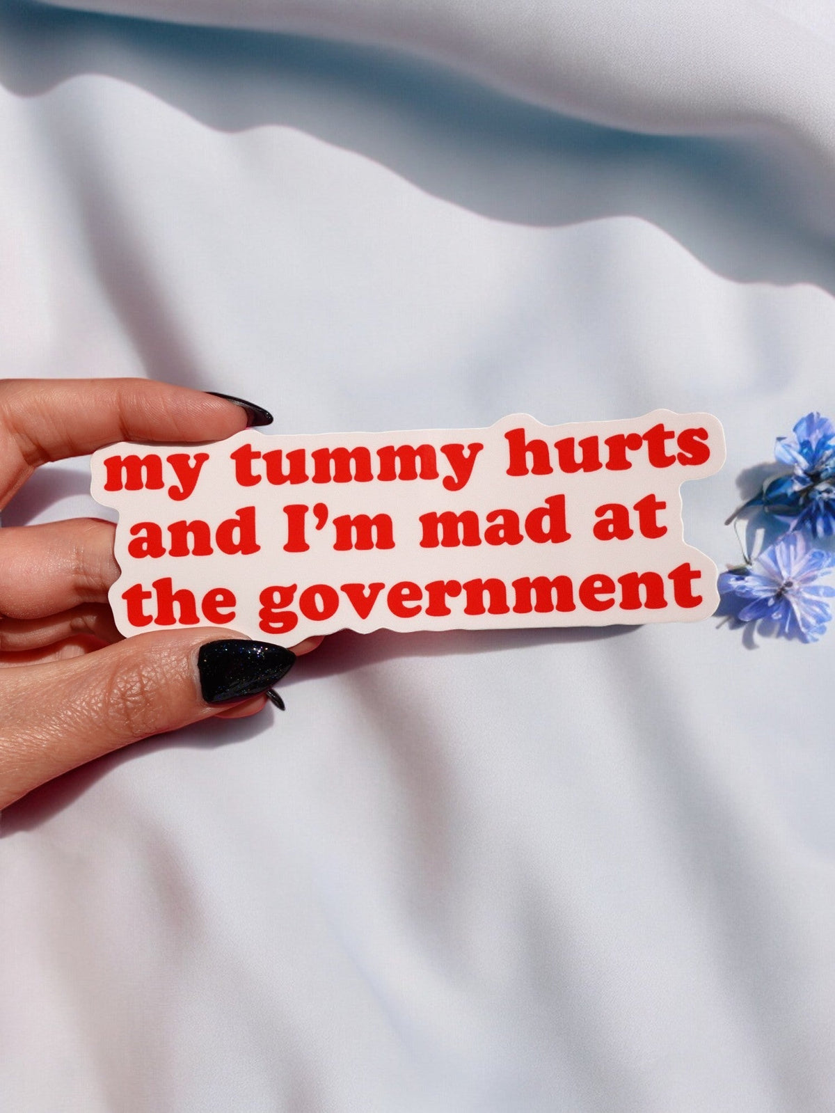 Funny Red text sticker in hand: 'my tummy hurts and I'm mad at the government'
