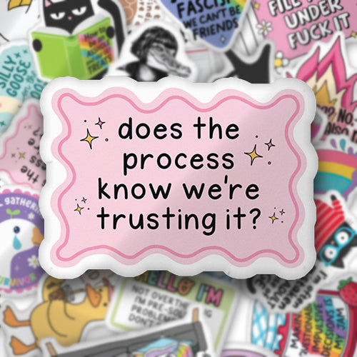 Pink custom-shaped pillow with wavy border and text: "does the process know we're trusting it?"