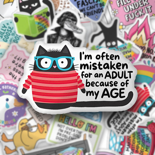Custom-shaped throw pillow with cartoon cat in blue glasses and red striped face text