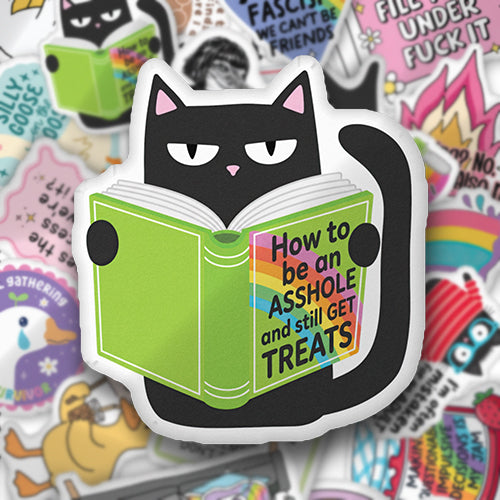 Cat-shaped custom pillow with black cat reading a green book, pink-and-blue text on cover