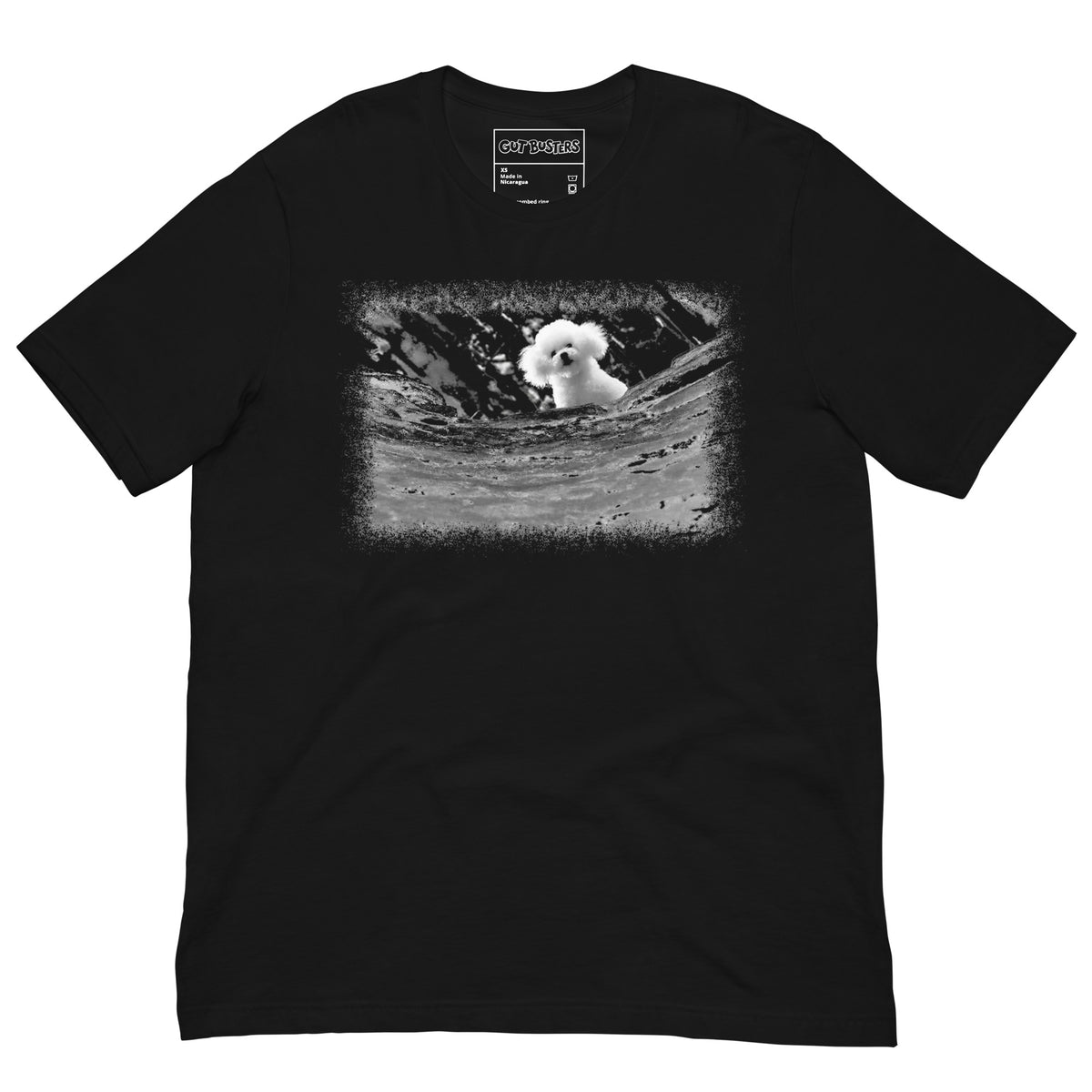 Funny "Darla Bichon Frise AKA Precious" graphic printed on a black unisex tee, front view