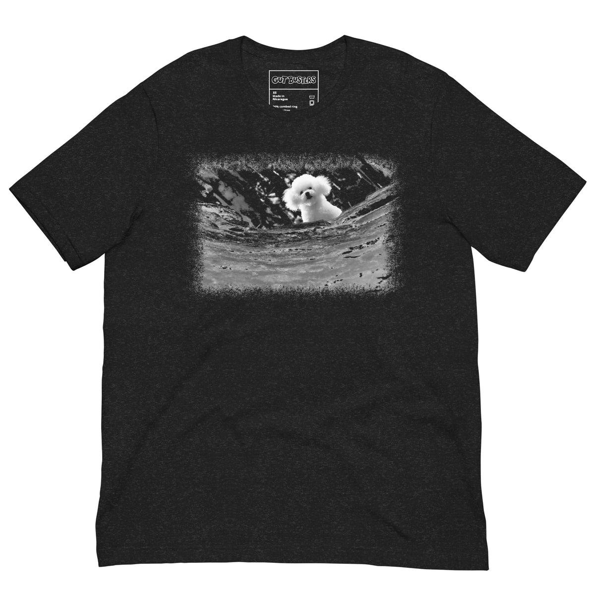 Funny "Darla Bichon Frise AKA Precious" graphic printed on a black heather unisex tee, front view