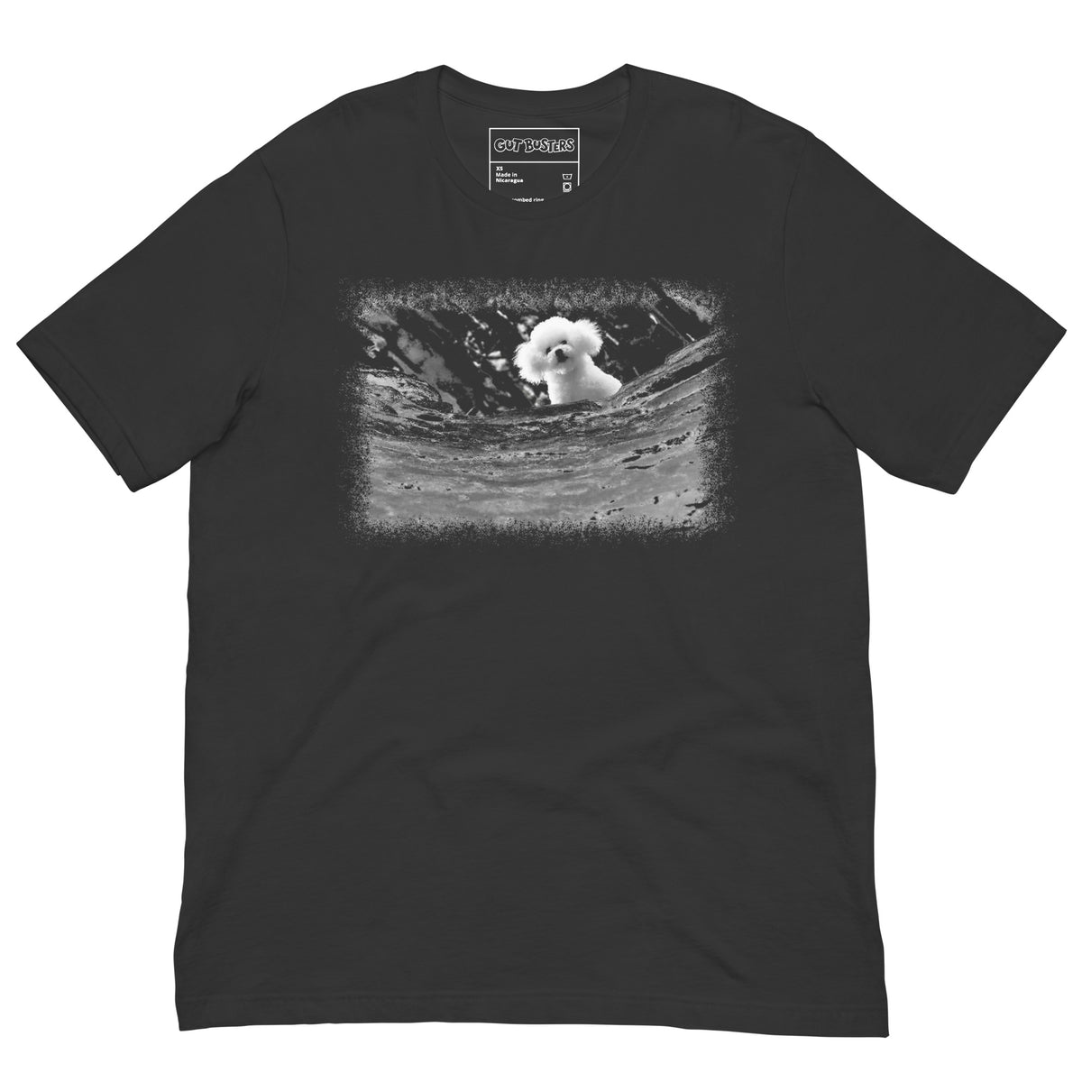 Funny "Darla Bichon Frise AKA Precious" graphic printed on a dark grey unisex tee, front view