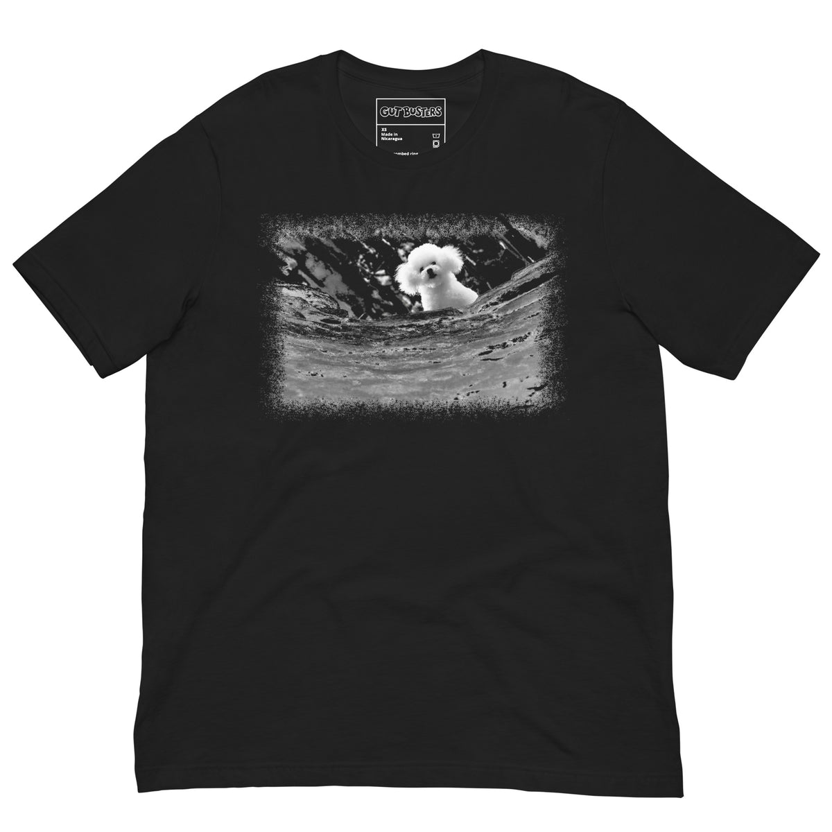 Funny "Darla Bichon Frise AKA Precious" graphic printed on a vintage black unisex tee, front view